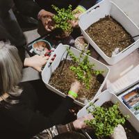 Bonsai Bar Workshop at Lost Shoe Brewing and Roasting Company thumbnail