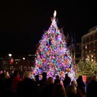  Generals Bridge & Park Tree Lighting thumbnail
