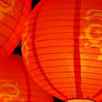 Lunar New Year Sensational Street Food – Adult Cooking Class thumbnail