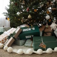 DICK'S House of Sport Winter Workshop thumbnail