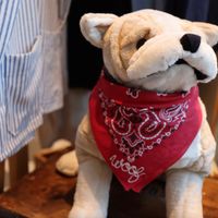 Personalized Pet Presents thumbnail