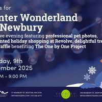 Winter Wonderland on Newbury thumbnail