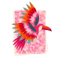 Family Concert: “Brazilian Serenade”  thumbnail