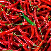 Curio Spice Co - Spicy Challenge! thumbnail