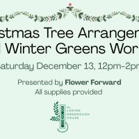 Christmas Tree Arrangement Mixed Winter Greens Workshop thumbnail