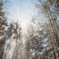 Art and Nature: Solstice Style thumbnail