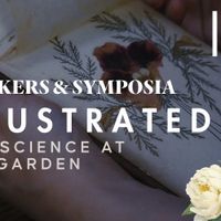 Illustrated: Art & Science at the Garden thumbnail