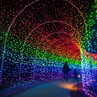 Night Lights at New England Botanic Garden: Dazzling Gardens thumbnail
