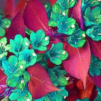 Art for the New Year: Small Works Off the Wall | January 10-26, 2026| Third Thursday Reception on January 15, 6 – 9 pm | Atlantic Works Gallery thumbnail