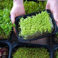 Powisset Pals: February Vacation thumbnail