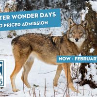 Winter Wonder Days – ½ Priced Admission thumbnail