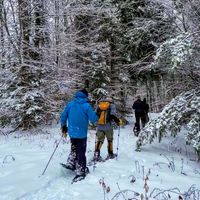 Guided Winter Snowshoe Adventure at Peaked Mountain:  W/ Roundtrip Transportation from Boston included! thumbnail