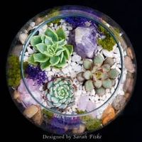 Plant Nite: Amethyst in Rose Bowl thumbnail
