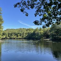 Sensing Spring – Guided Hike at Rocky Woods thumbnail