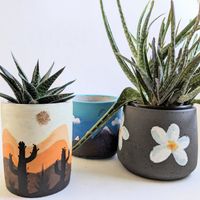 Paint and Plant Workshop (Burlington) thumbnail