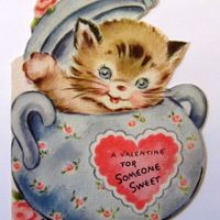 Harvard Square In Love: A Walking Tour  thumbnail