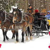 Valentine’s Ride — Charmingfare Farm thumbnail