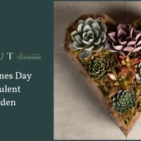 Valentines Day Succulent Garden Workshop at Sprout! thumbnail