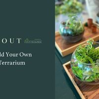 Terrarium Workshop at Sprout! thumbnail
