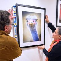 Two Lenses:  Photography Exhibit thumbnail