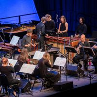 Isabella Stewart Gardner Museum: Steve Reich's Music for 18 Musicians thumbnail