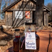 Maple Sugaring Experience at a Local Farm thumbnail