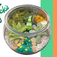 Paddy's Plant Nite thumbnail