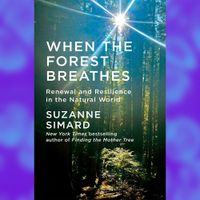 When the Forest Breathes with Author Suzanne Simard thumbnail