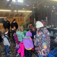 Children's Maple in the Barnyard at Appleton Farms thumbnail