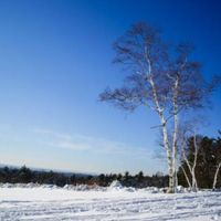Family Explorer: Winter on the Lake at Moraine Farm thumbnail