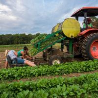 Women of Agriculture Hike at Appleton Farms thumbnail