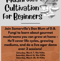 Mushroom Cultivation for Beginners thumbnail