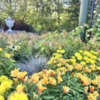 Day Trip from Boston: Explore The New England Botanic Gardens at Tower Hill thumbnail