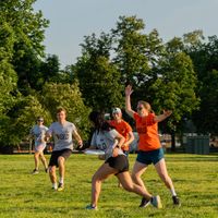 Volo Ultimate Frisbee League thumbnail