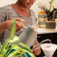 Kenyan Coffee Tasting with Coffee Plus 254 thumbnail