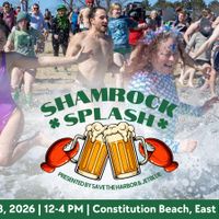 16th Annual Shamrock Splash thumbnail