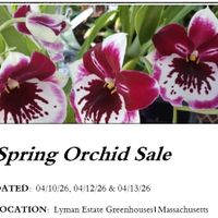 Spring Orchid Sale @ Lyman Estate Greenhouses thumbnail