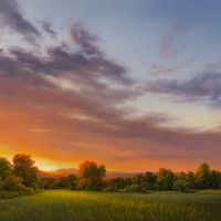 "Dazzle of the Light" - Members Spring Exhibition thumbnail