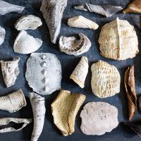 Memory of Clay thumbnail