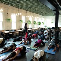 Taproom Yoga at Long Live Roxbury thumbnail