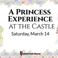 A Princess Experience at the Castle thumbnail