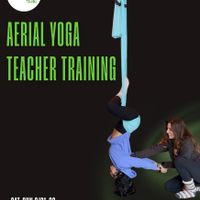 Swet Studio of Boston's South End to Offer Aerial Teacher Training thumbnail
