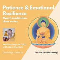 Wednesday night meditation - Patience & Emotional Resilience thumbnail