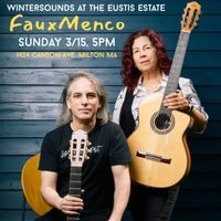 Wintersounds: FauxMenco thumbnail