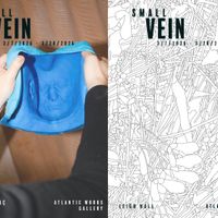 Opening Reception: SMALL VEIN by Leigh Hall & Duygu Aytac thumbnail