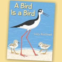 A Bird is a Bird thumbnail