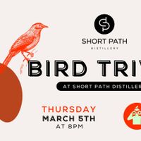 Birdy Trivia thumbnail