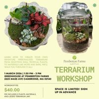 Terrarium Workshop thumbnail