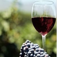 🍷✨ PETER MICHAEL WINERY DINNER at Davio’s Seaport thumbnail