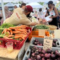 Central Square Farmers Market thumbnail